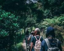 山口山战记，穿越虚拟世界的冒险旅程