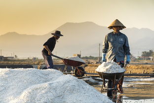 职业打假人被羁押三年获国赔，正义虽迟但至