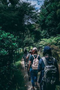 山口山战记，穿越虚拟世界的冒险旅程